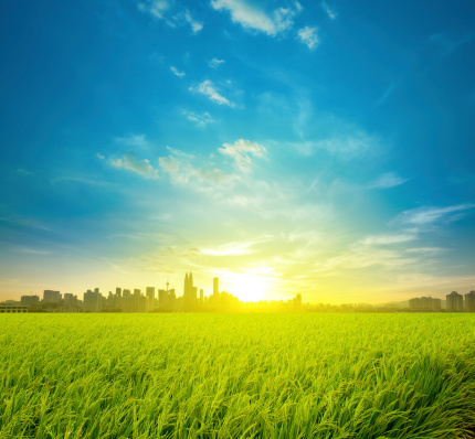 Interesting Facts About Solar Energy