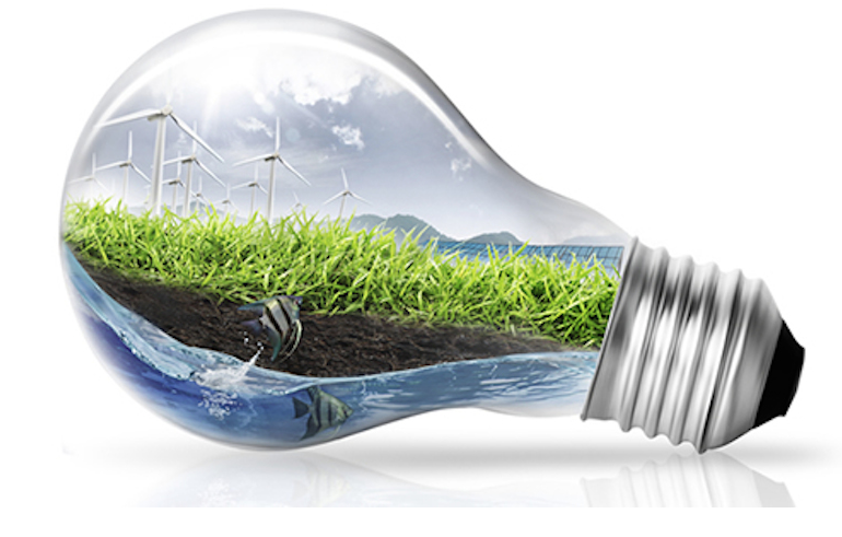 Taking care of the environment is a responsibility that everyone should feel accountable for. Most of us are already aware of environmentally friendly processes such as recycling to minimise the amount of waste we produce and reduce our carbon footprint.