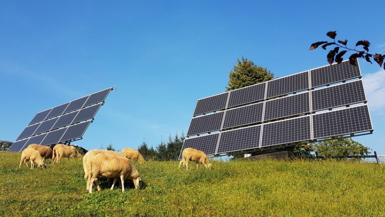 Solar Projects | ClearWorld LLC