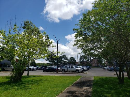 FED CITY SMALL
