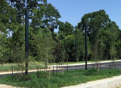 Moncus Park Multiple Poles Up Close
