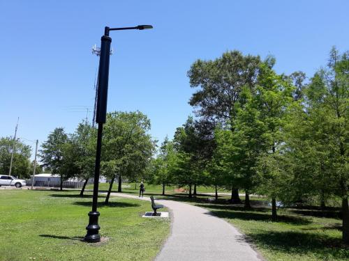 Pontiff Park RW240-2